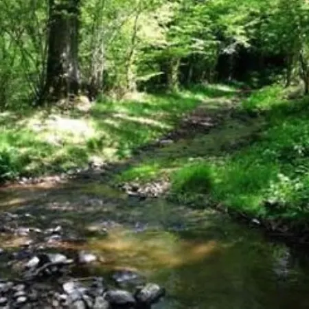 La Cour D'enchère Bed & Breakfast Saint-Palais (Allier)