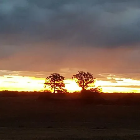La Cour D'enchère Saint-Palais (Allier)