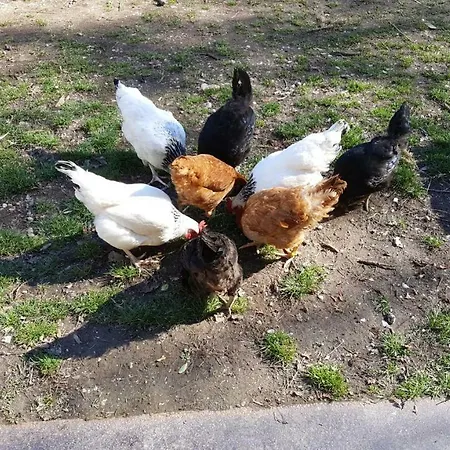 La Cour D'enchere Frühstückspension 3*