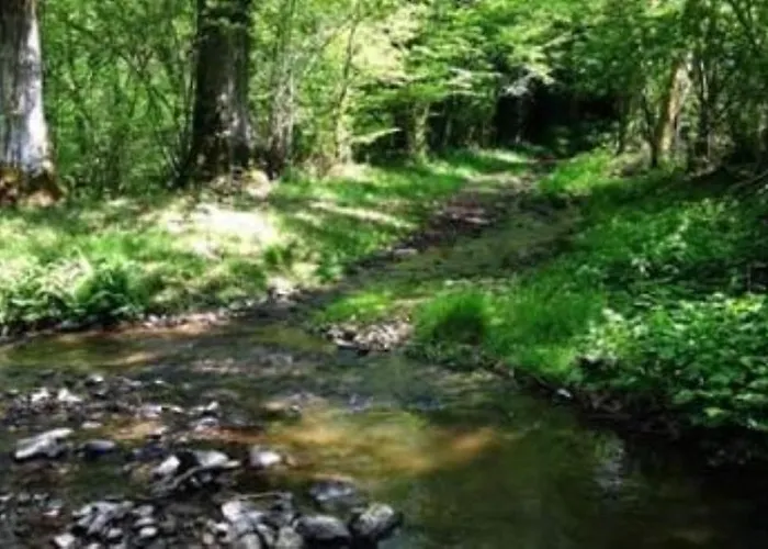 La Cour D'enchere Bed & Breakfast Saint-Palais (Allier)