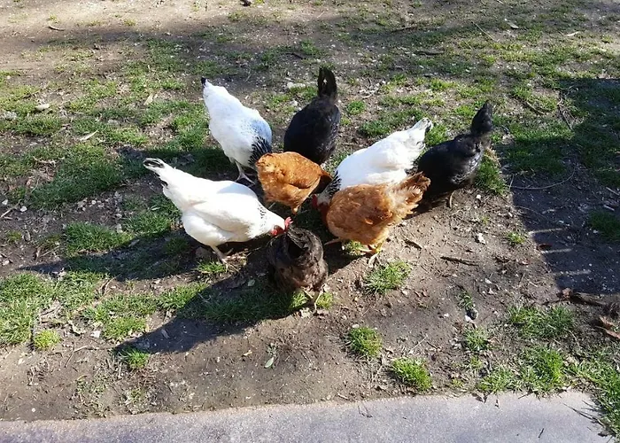 La Cour D'enchere Bed & Breakfast 3*